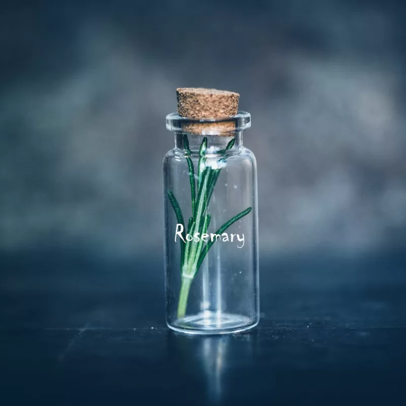 rozmarynowy chemotyp